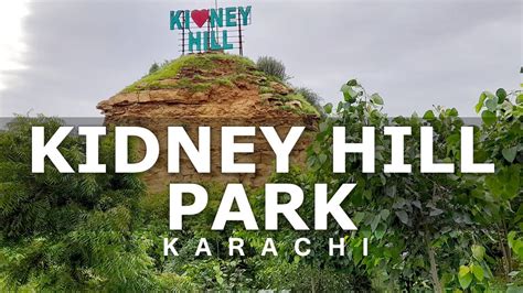 Kudney hill wotch